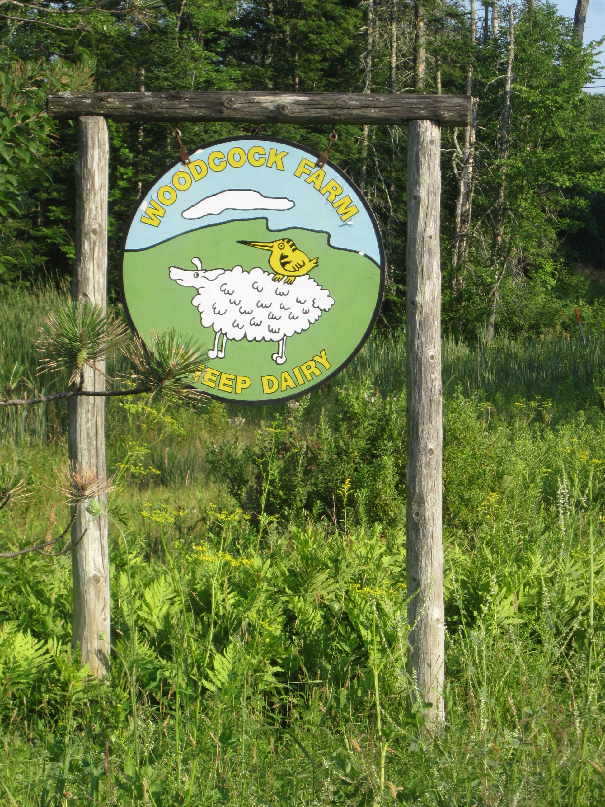 Woodcock Farm