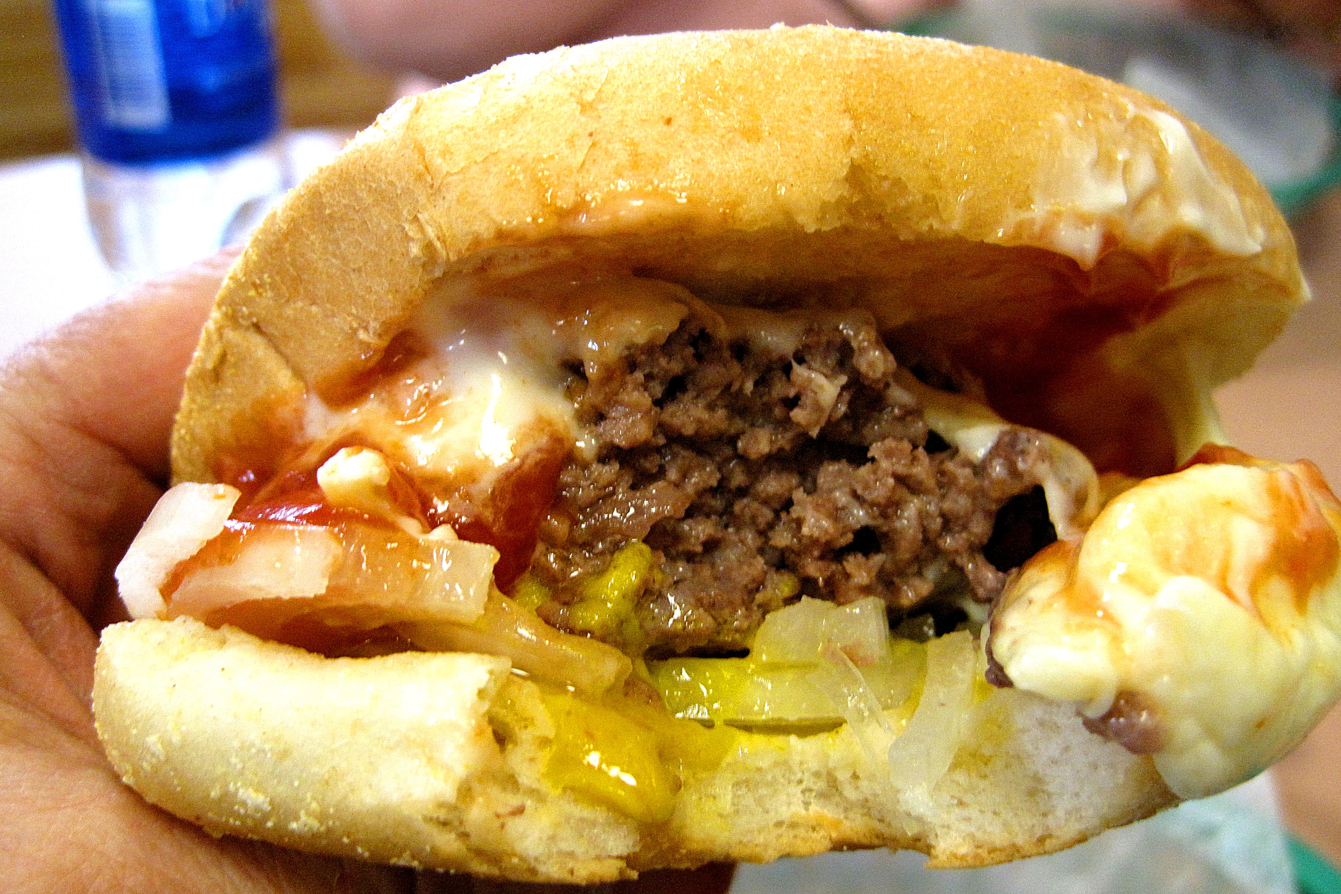 the Steamed Burger