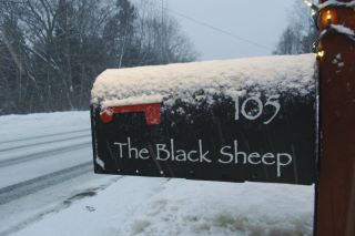 Black Sheep Wine Shop