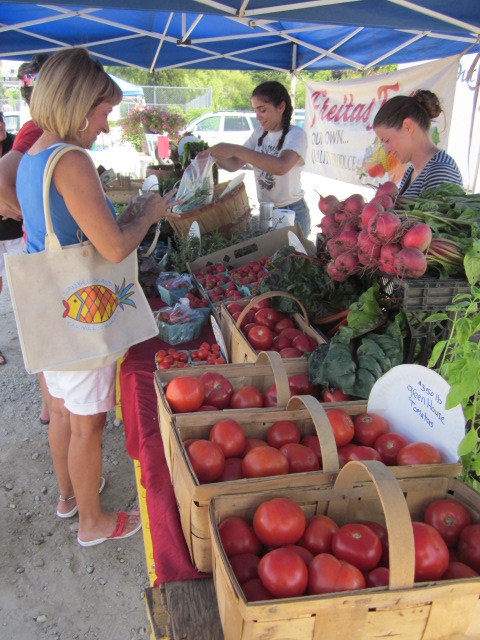 Plymouth Farmers Market, Stevens Field