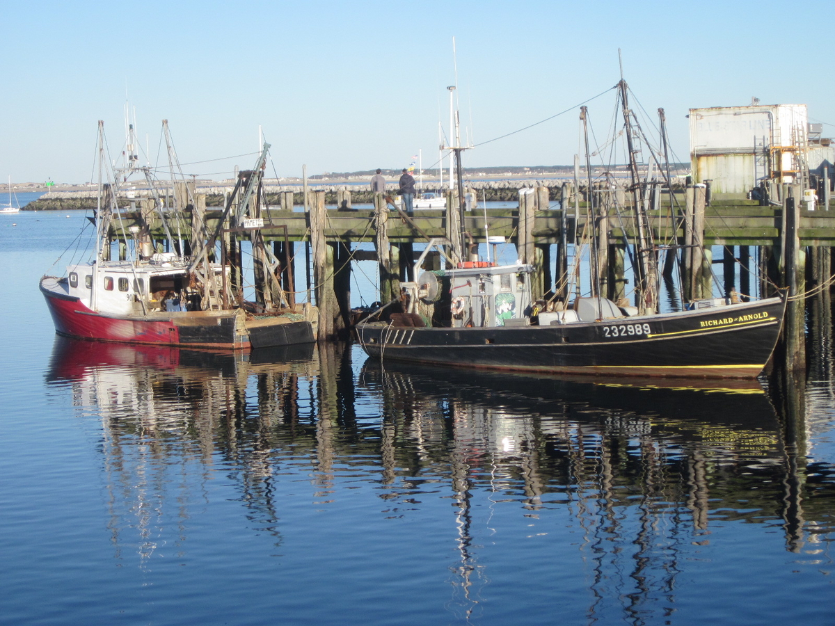 Provincetown Fishing Fleet