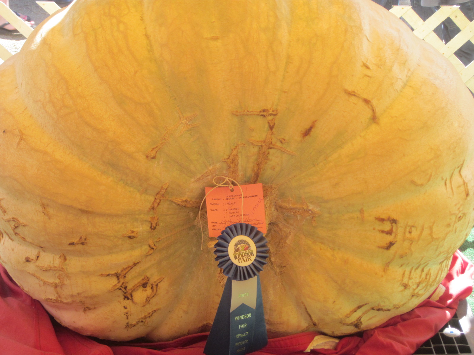The Great Pumpkin