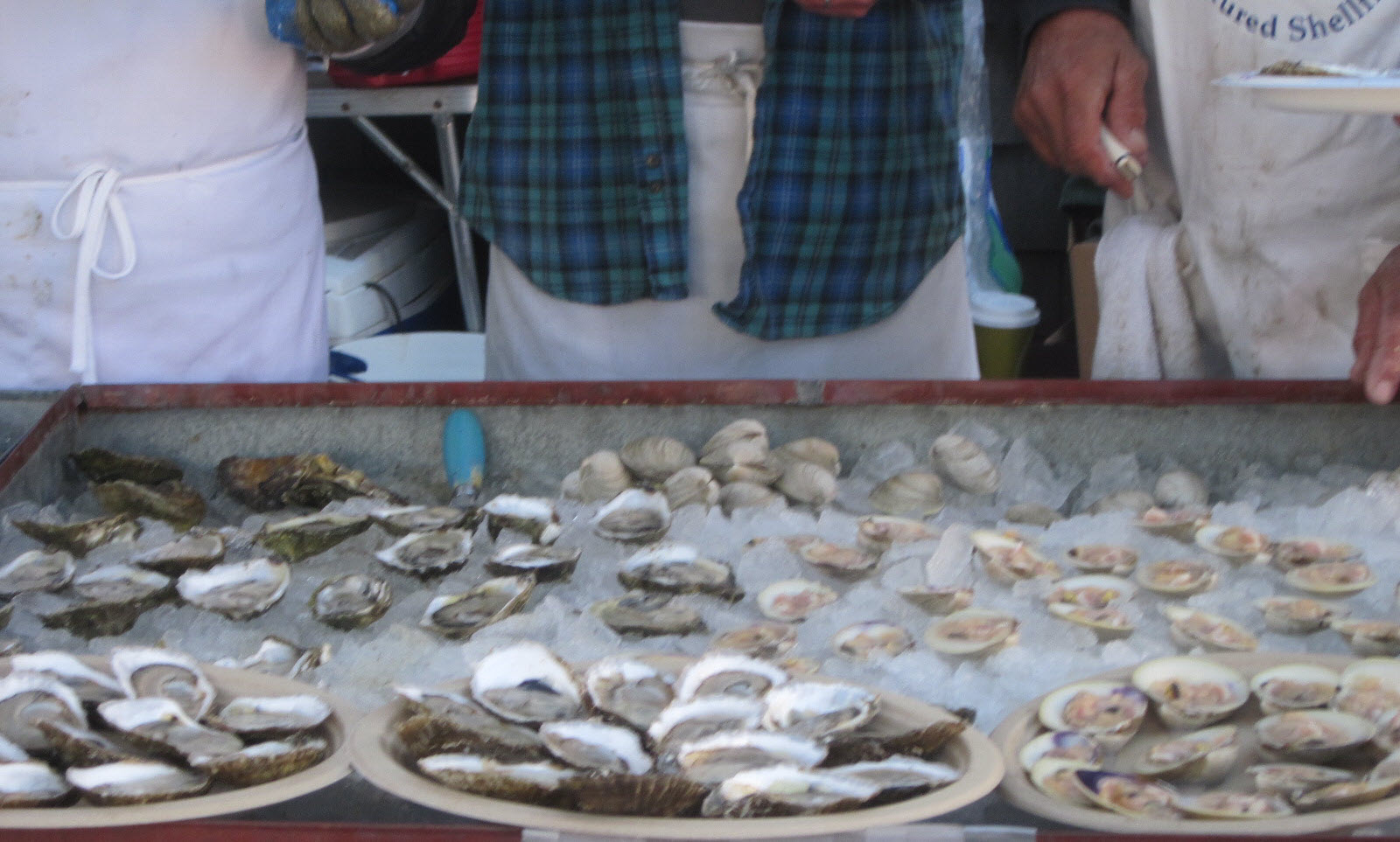 Oyster Shuckers in Wellfleet