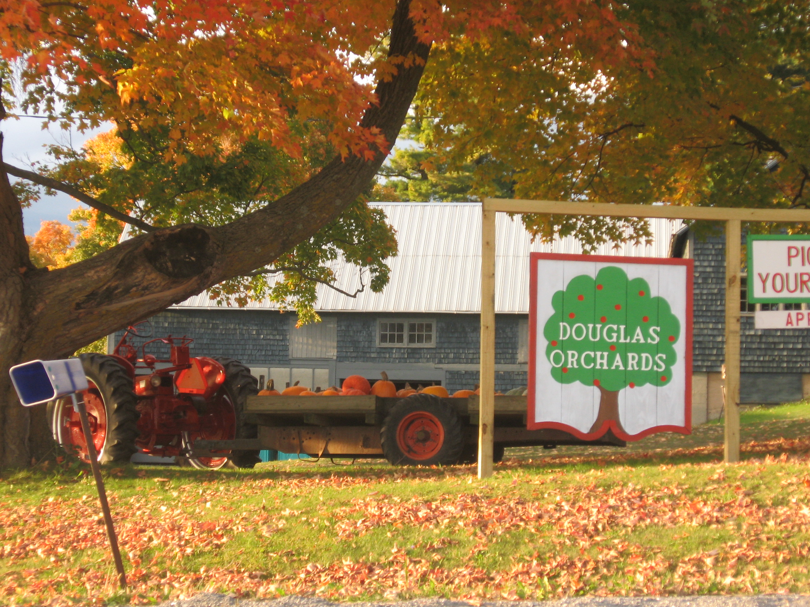 Douglas Orchards, VT
