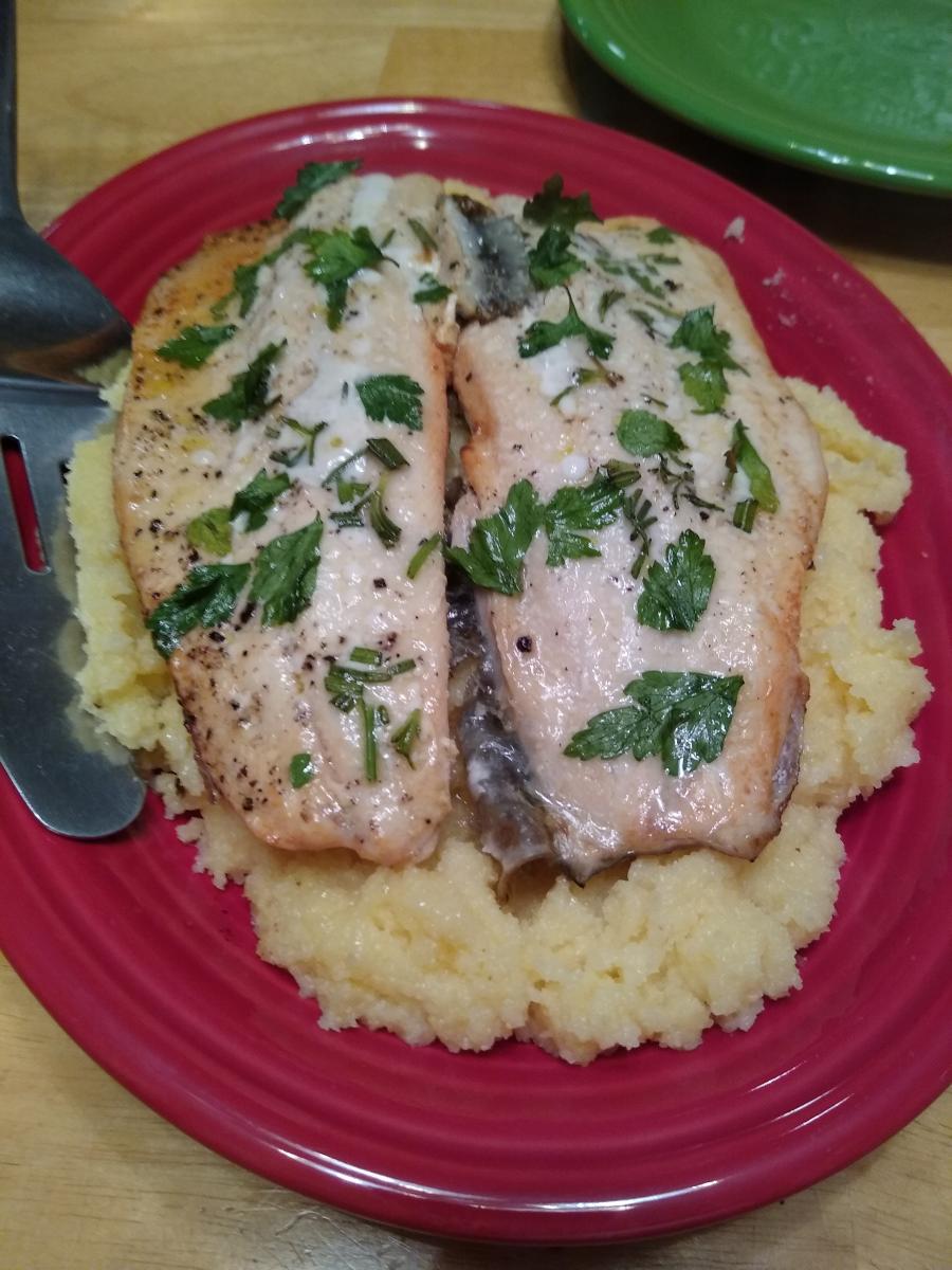 Trout in the River Nera Style