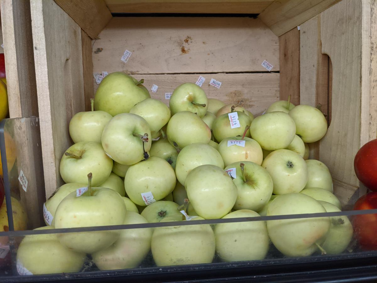 Yellow Transparent Apples