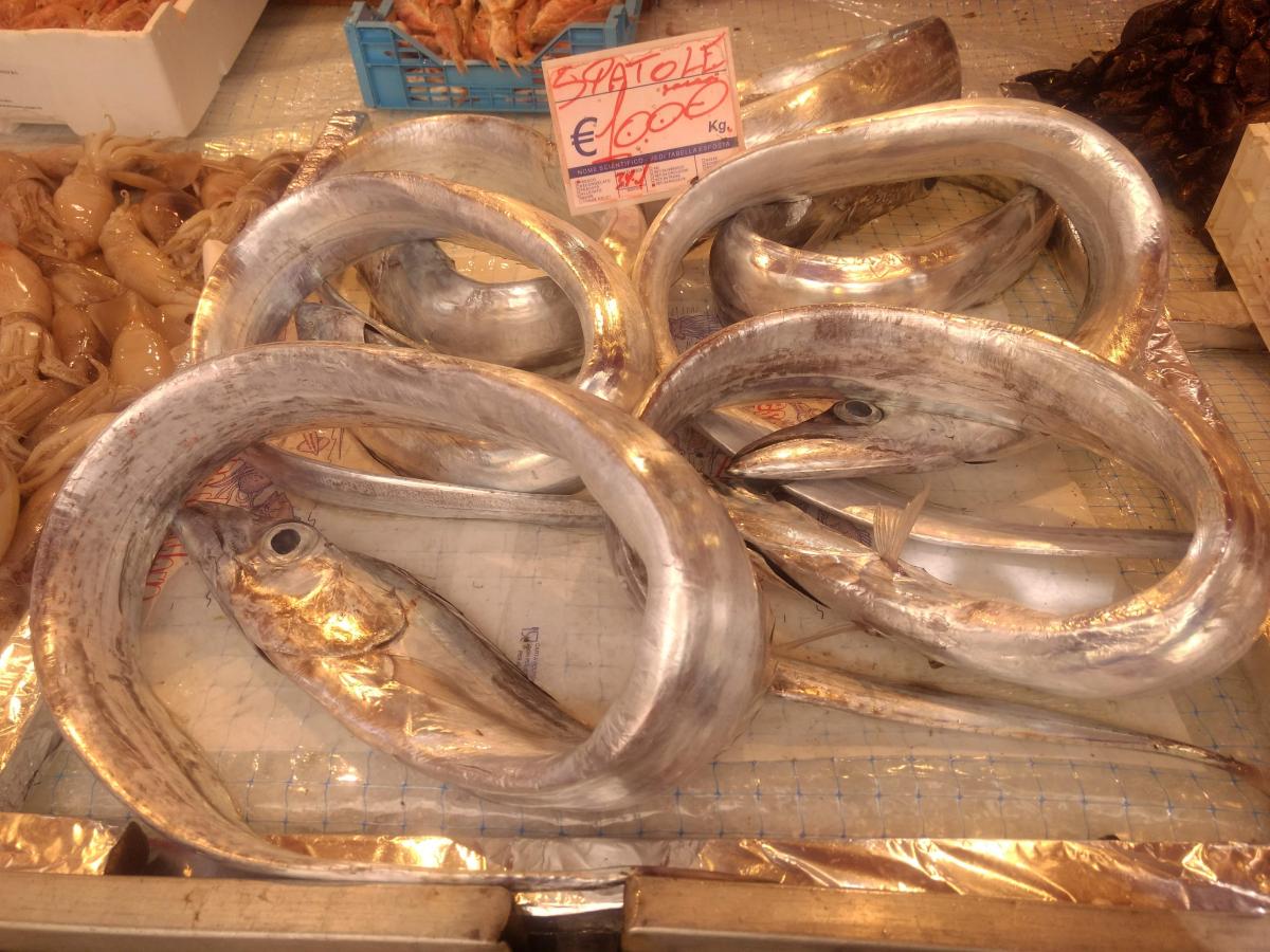 Spatola
