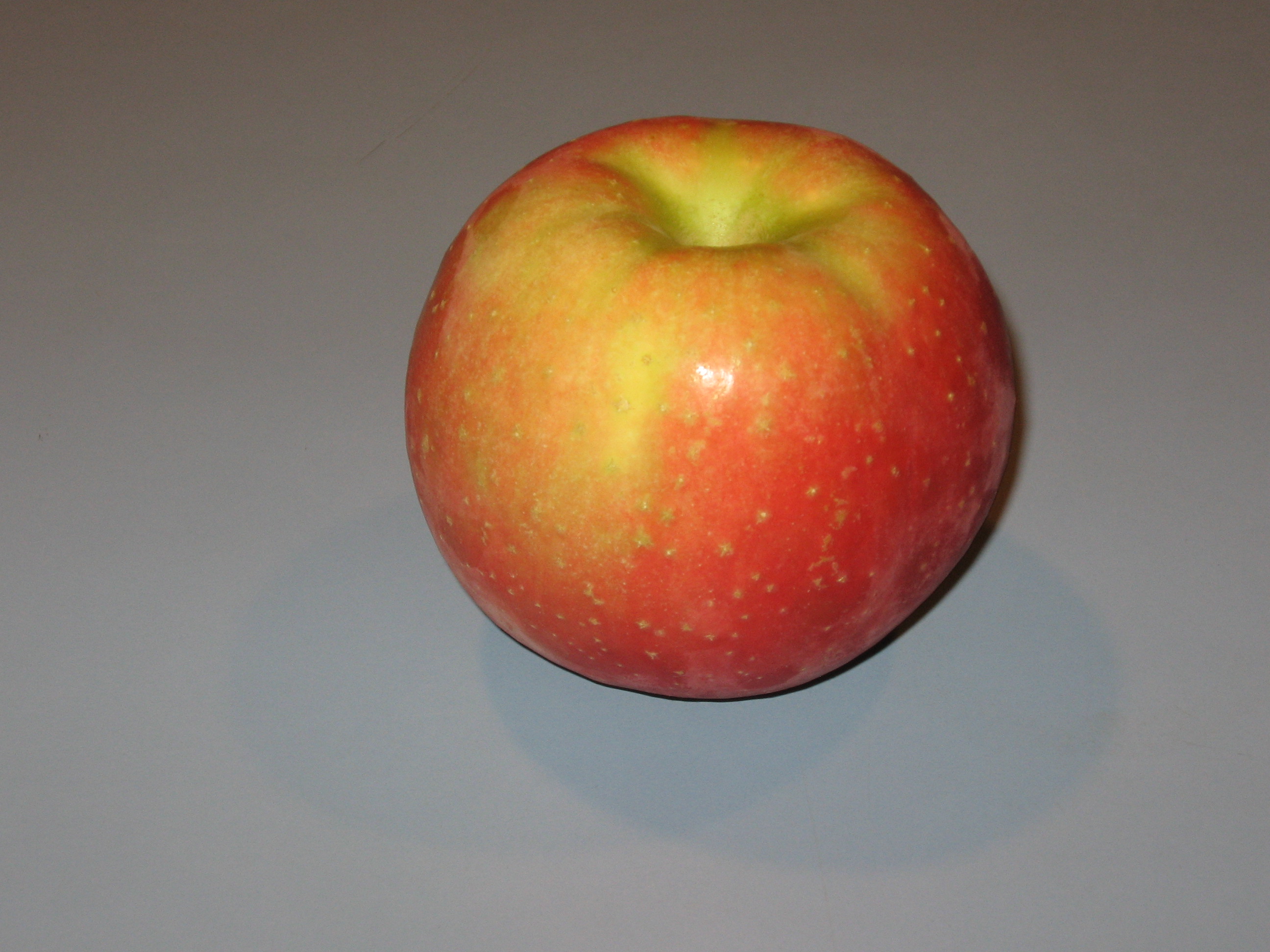 Northern Spy Apple