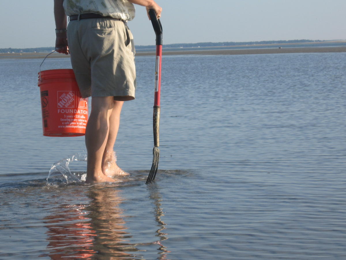 Clamming