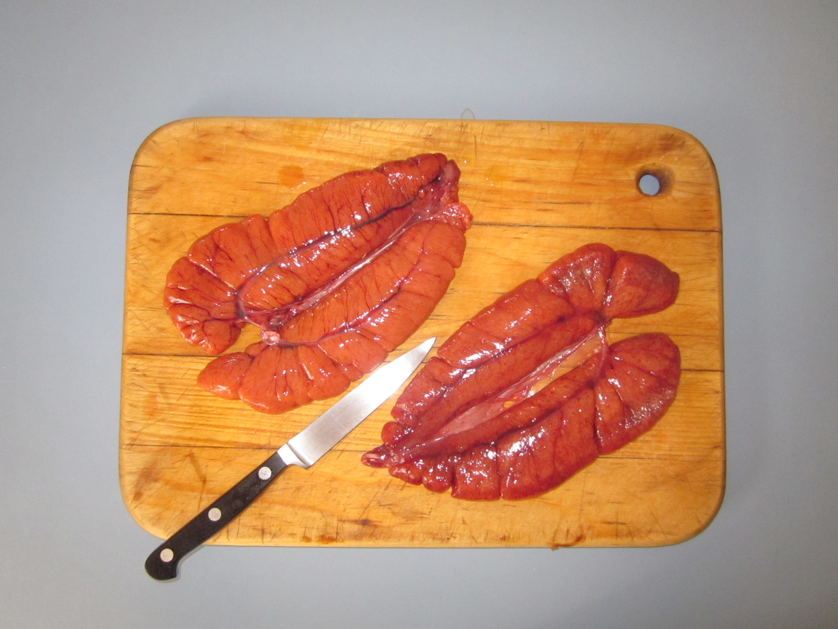 Shad Roe is ugly