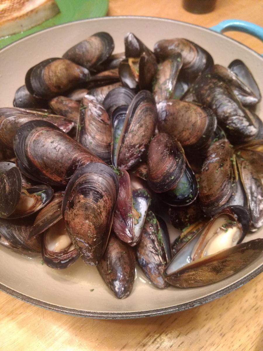 Mussels in White Wine