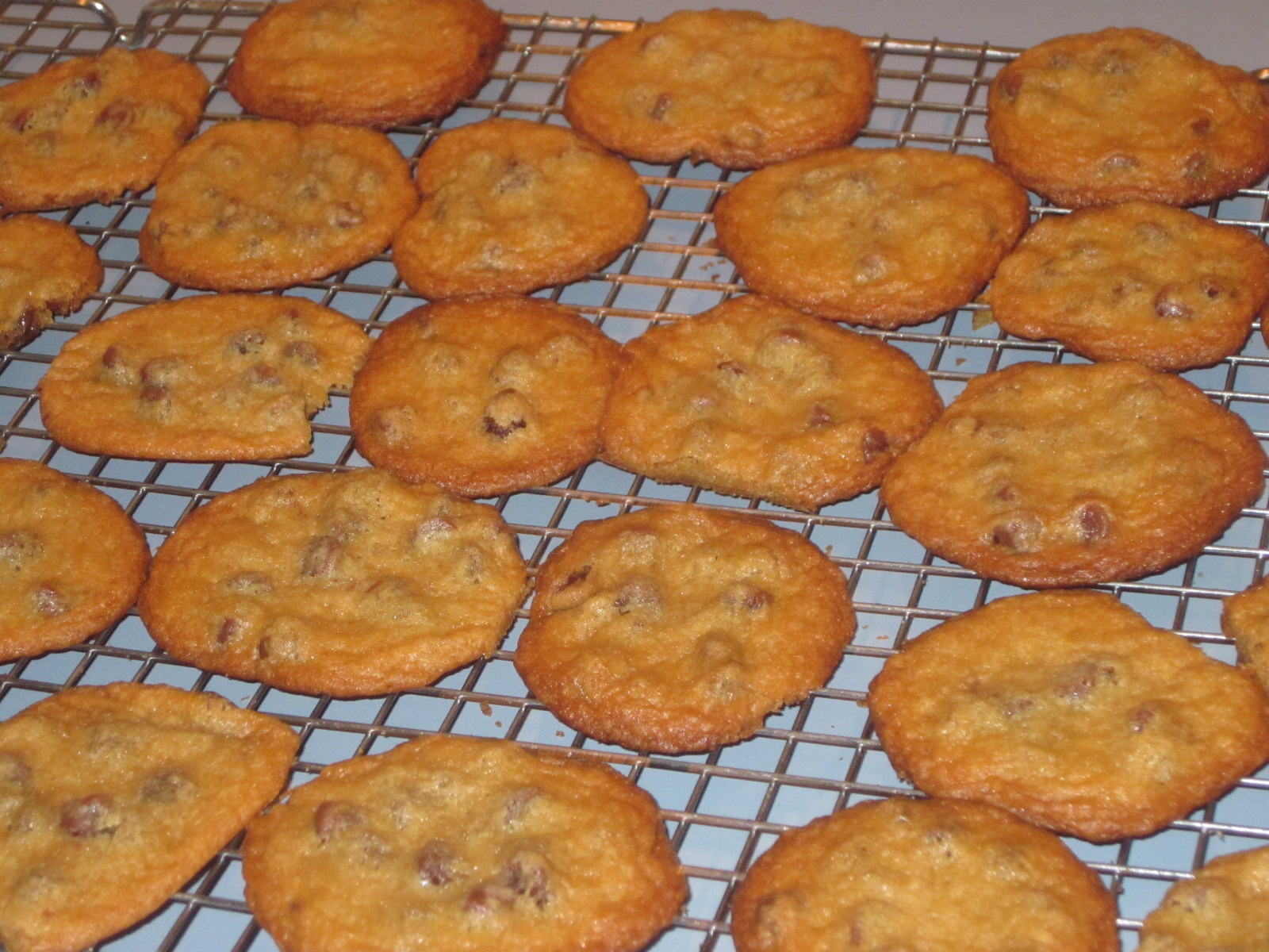 Chocolate-chip cookies