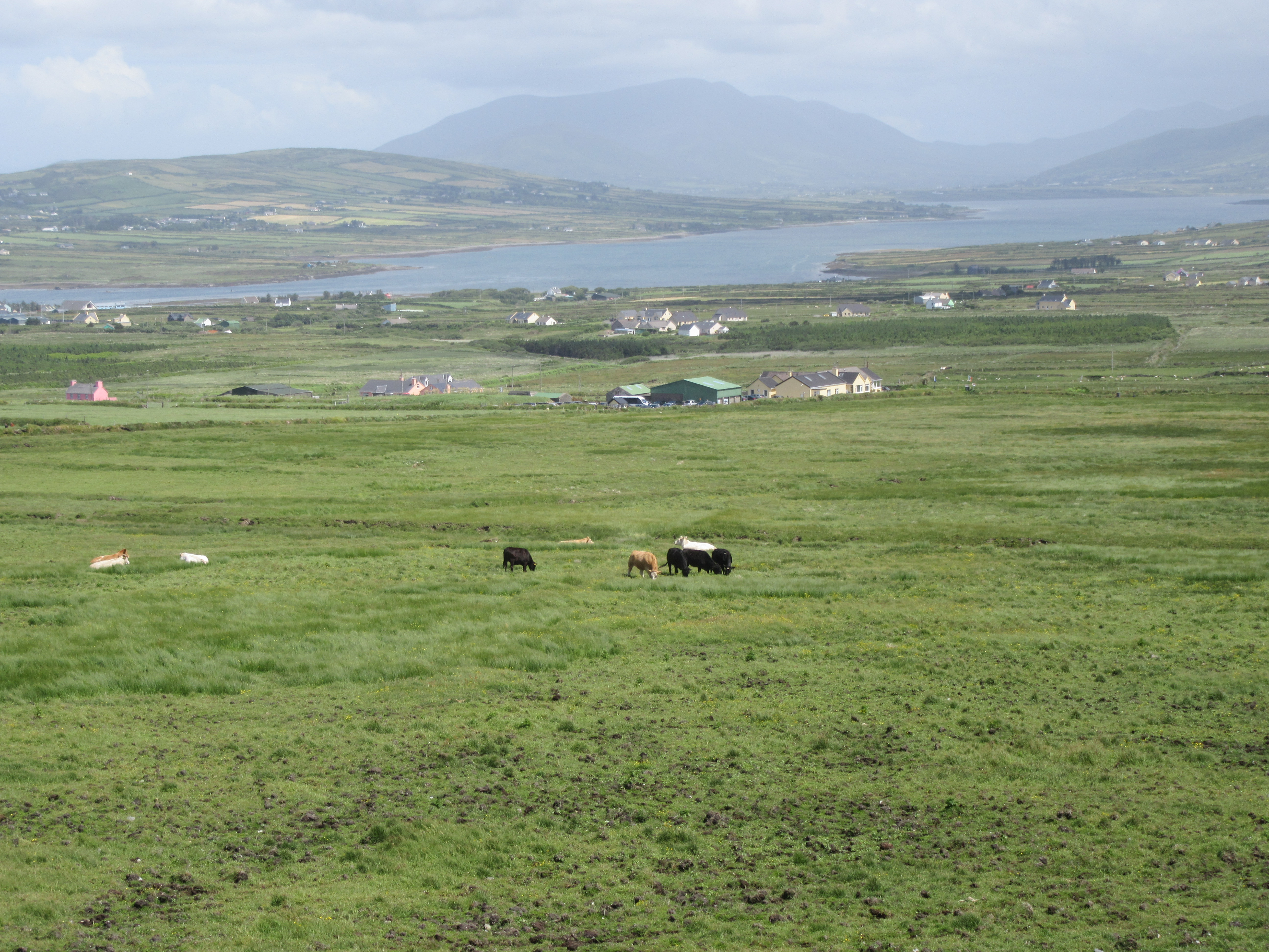 Farmland extending to the sea