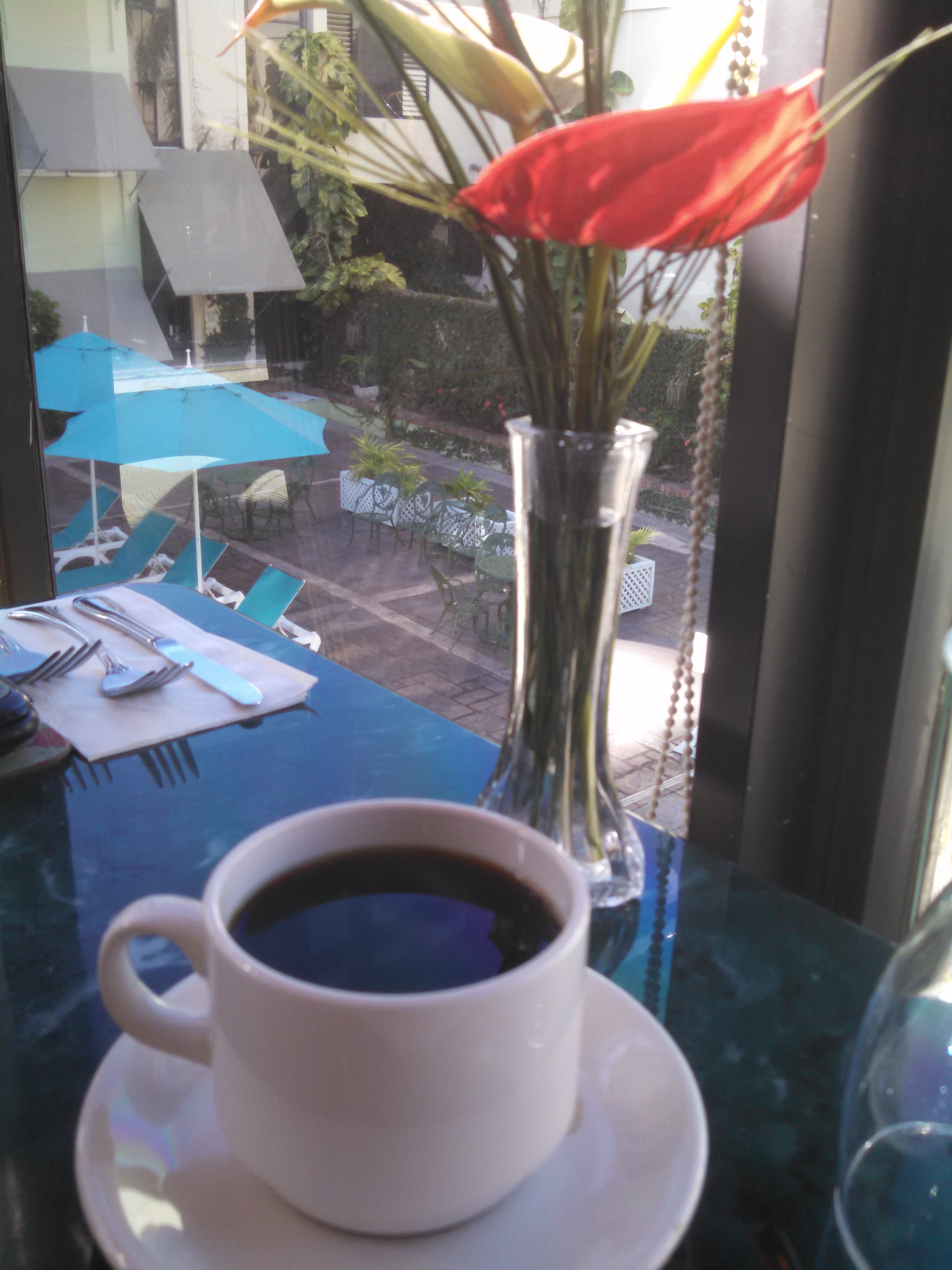 Jamaican Blue Mountain Coffee