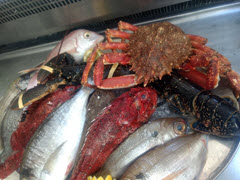 Fish Selection at 86Bistro