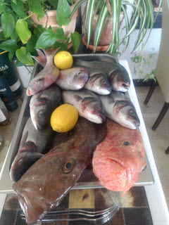 fish platter