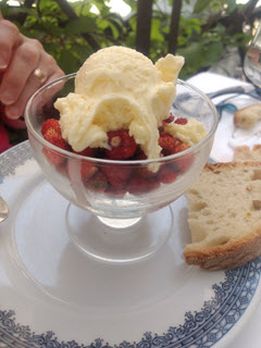 little strawberries with destination gelato