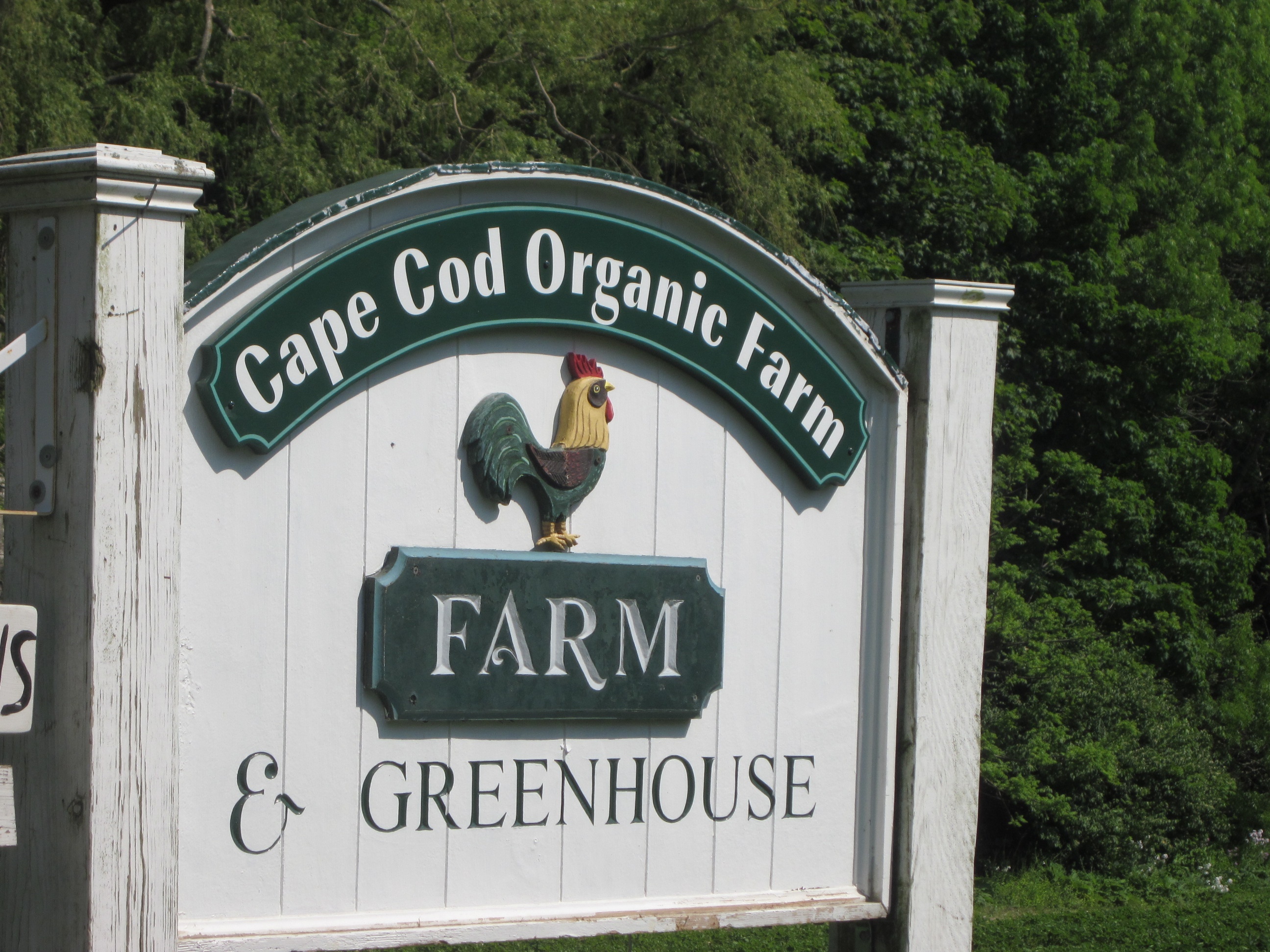 Cape Cod Organic Farm