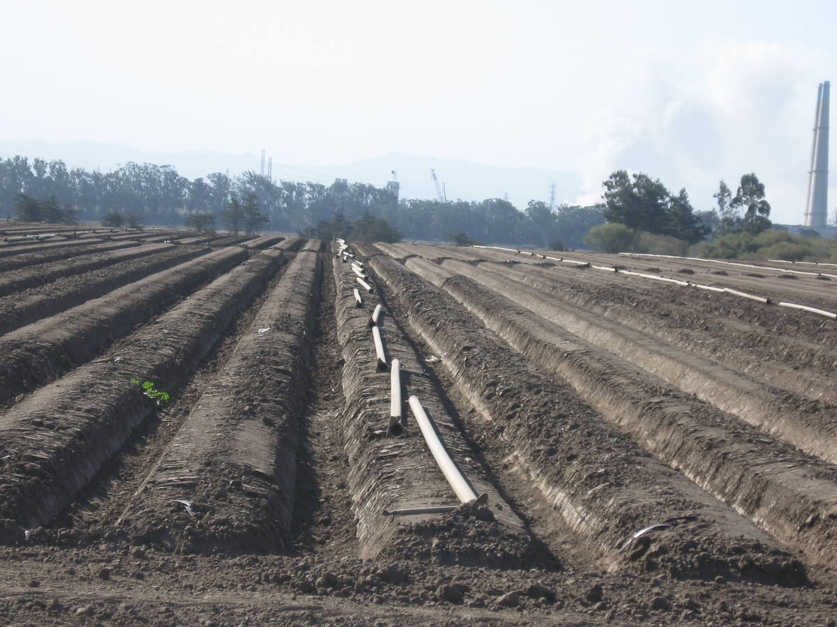 California farm