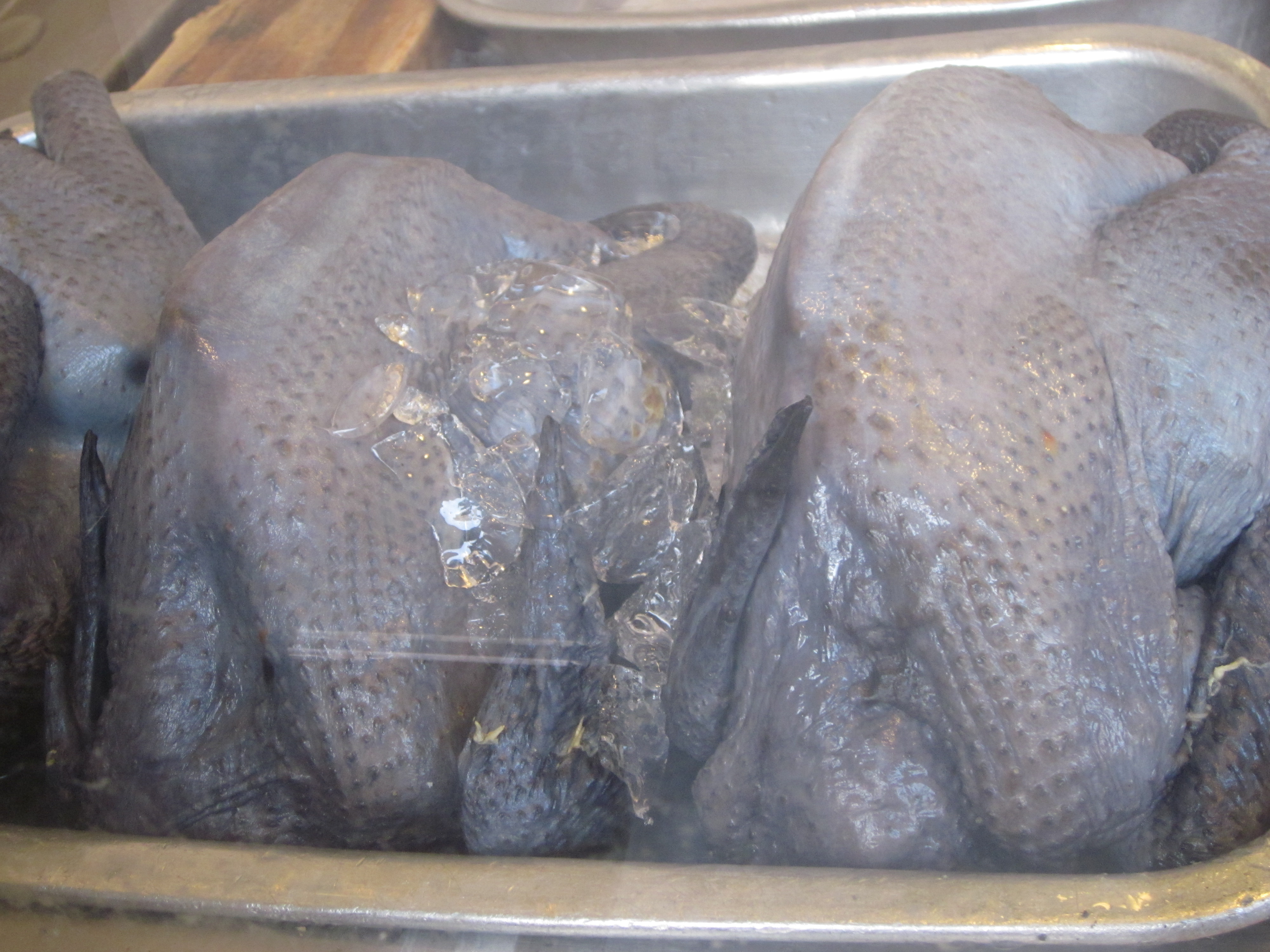 Chinese Black Chickens