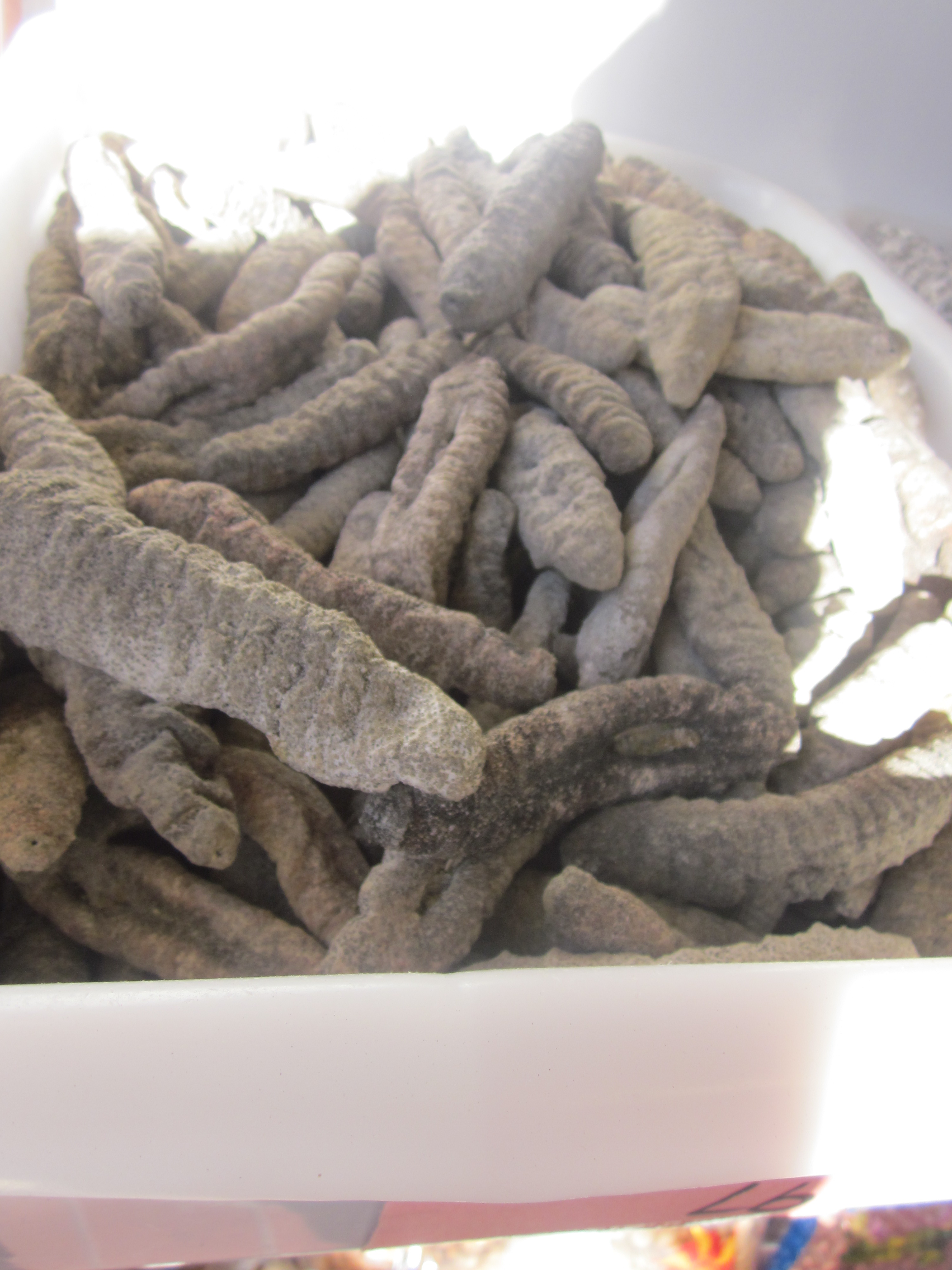 Salted Sea Cucumbers