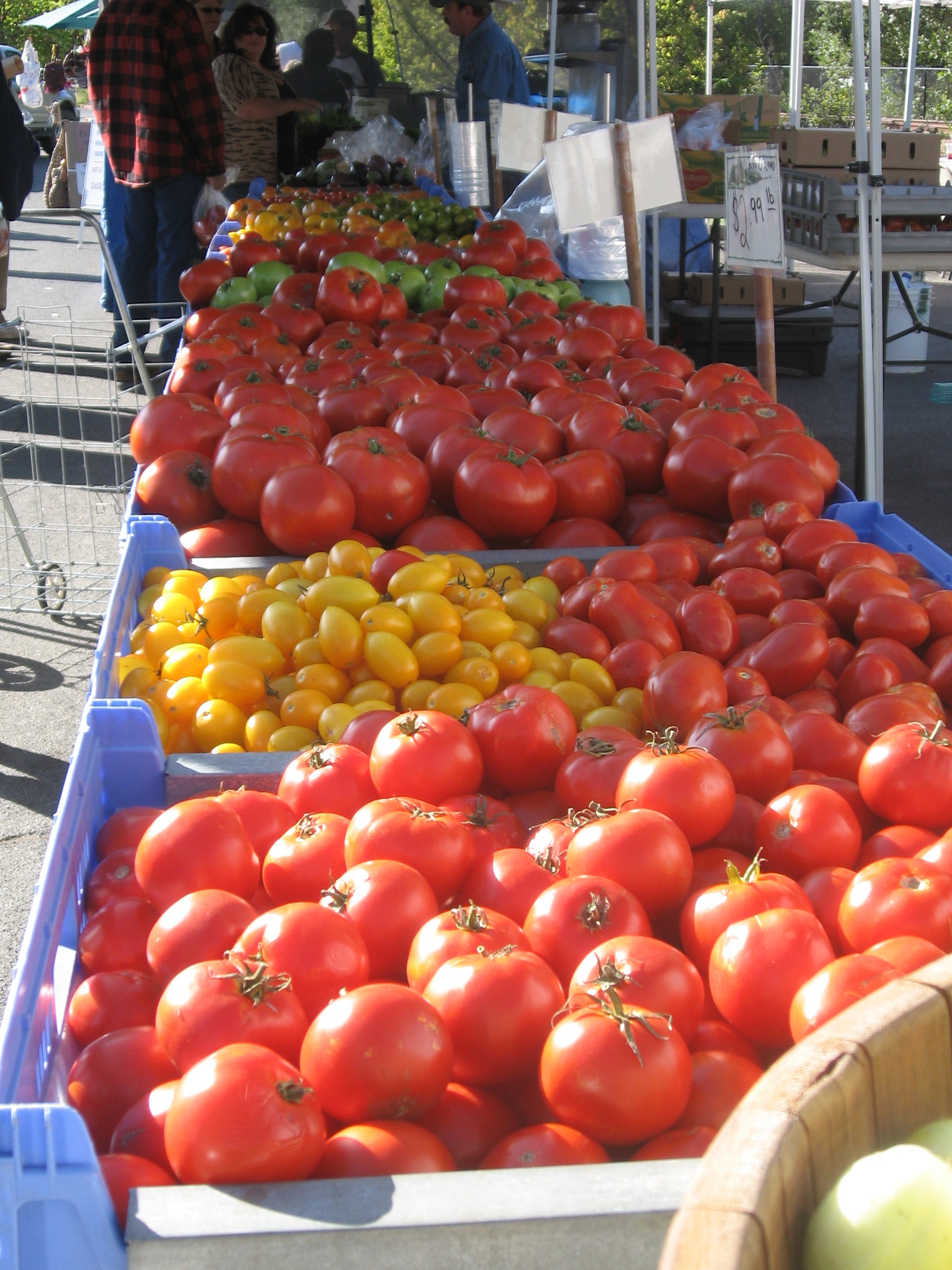Healdsburg Farmers Market