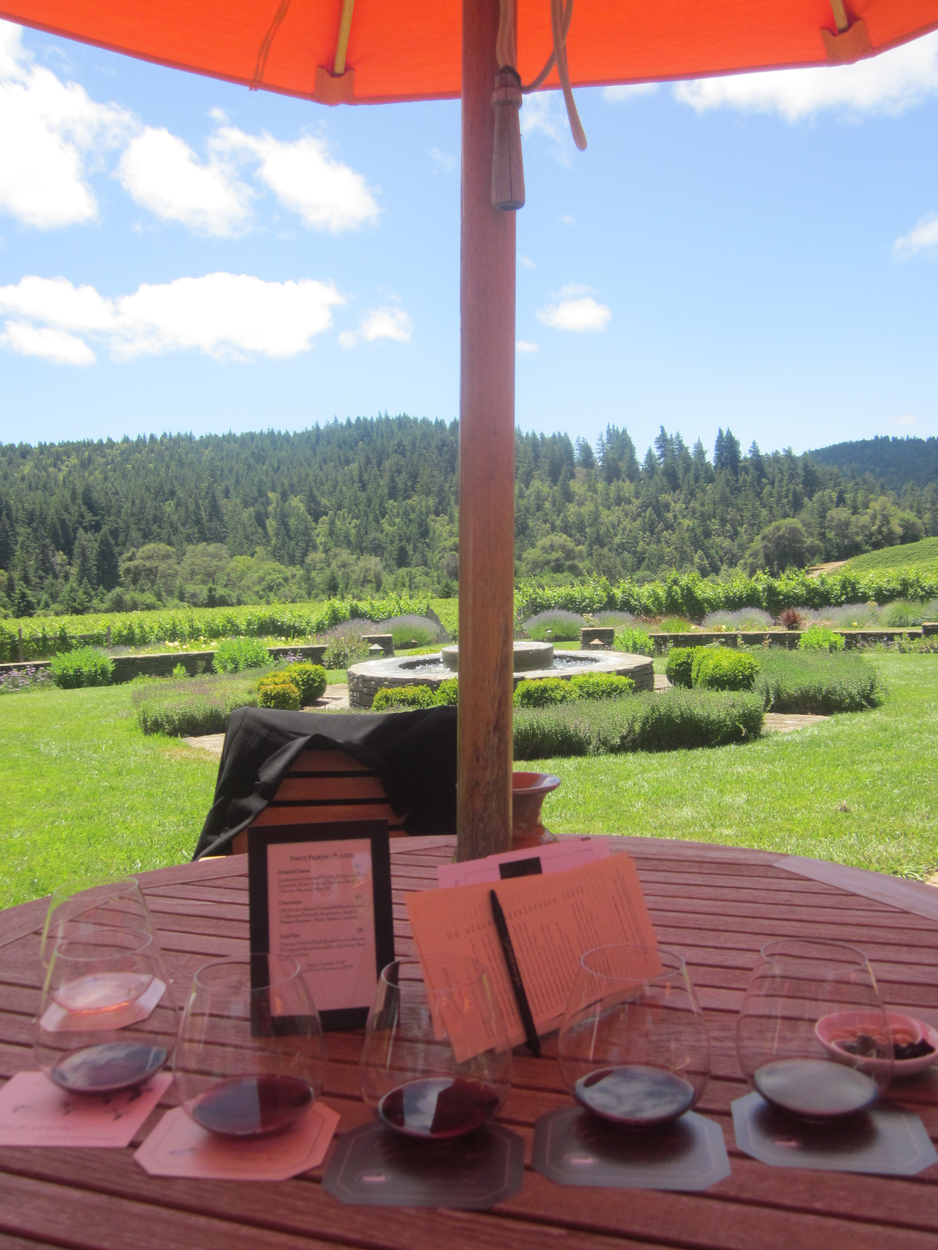 Elegant wine tasting setup at Goldeneye