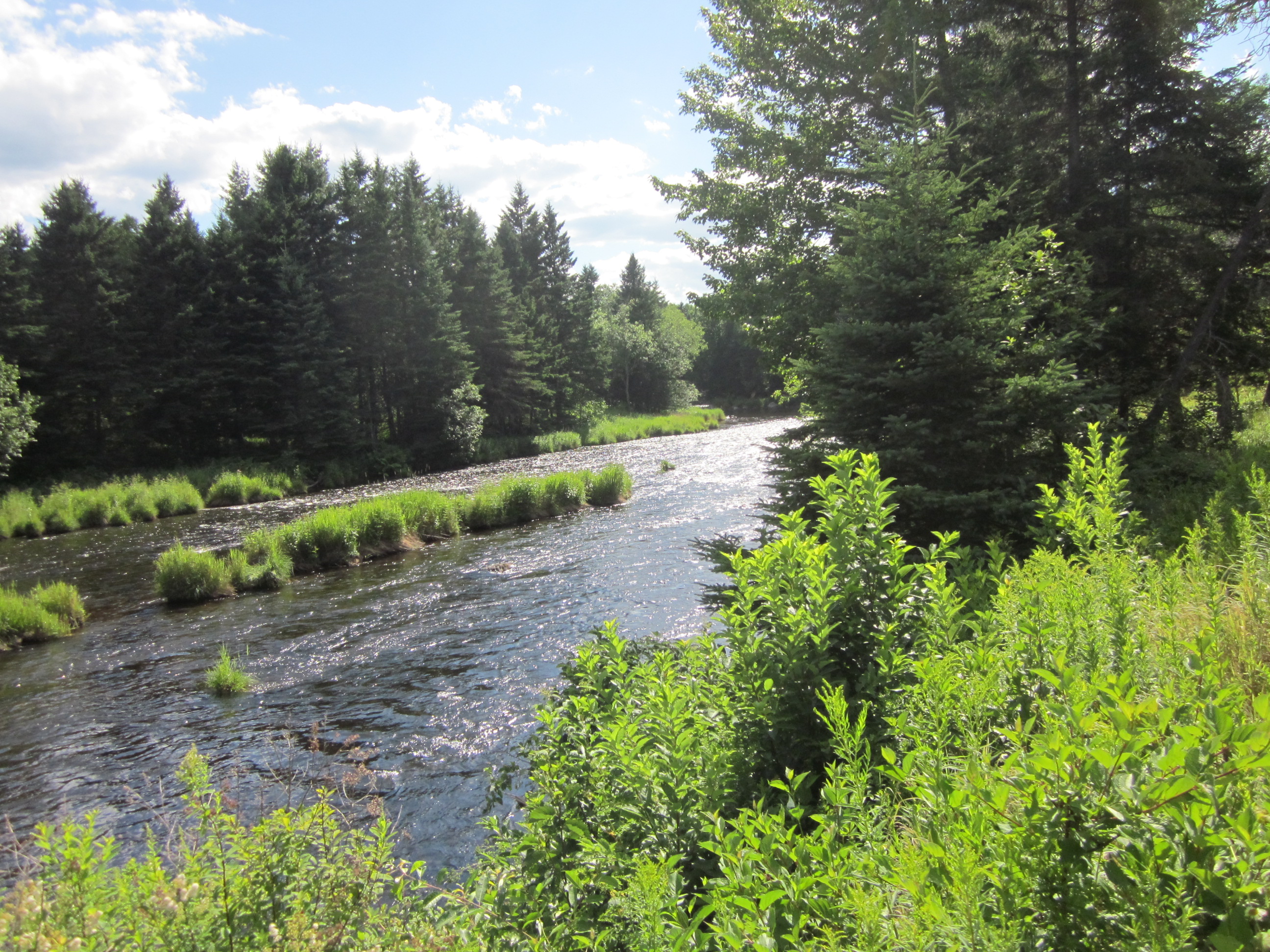 Connecticut River near Source