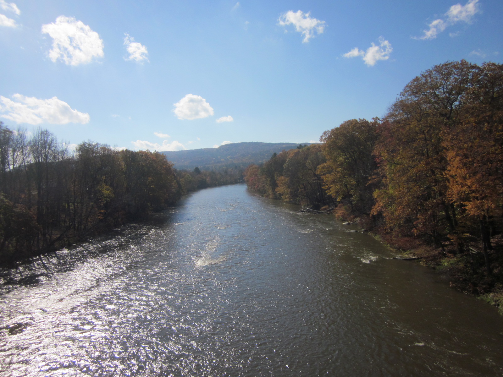 The Deerfield River near Shelburne