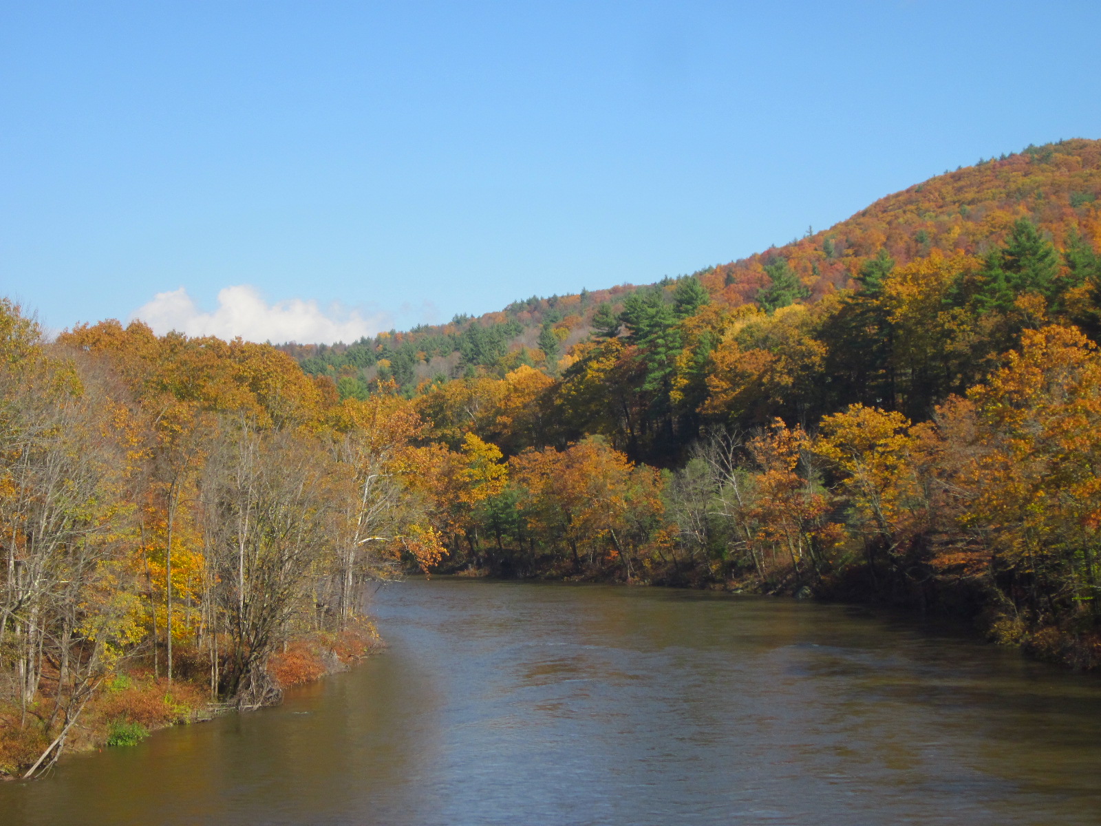 The Deerfield River near Shelburne Falls