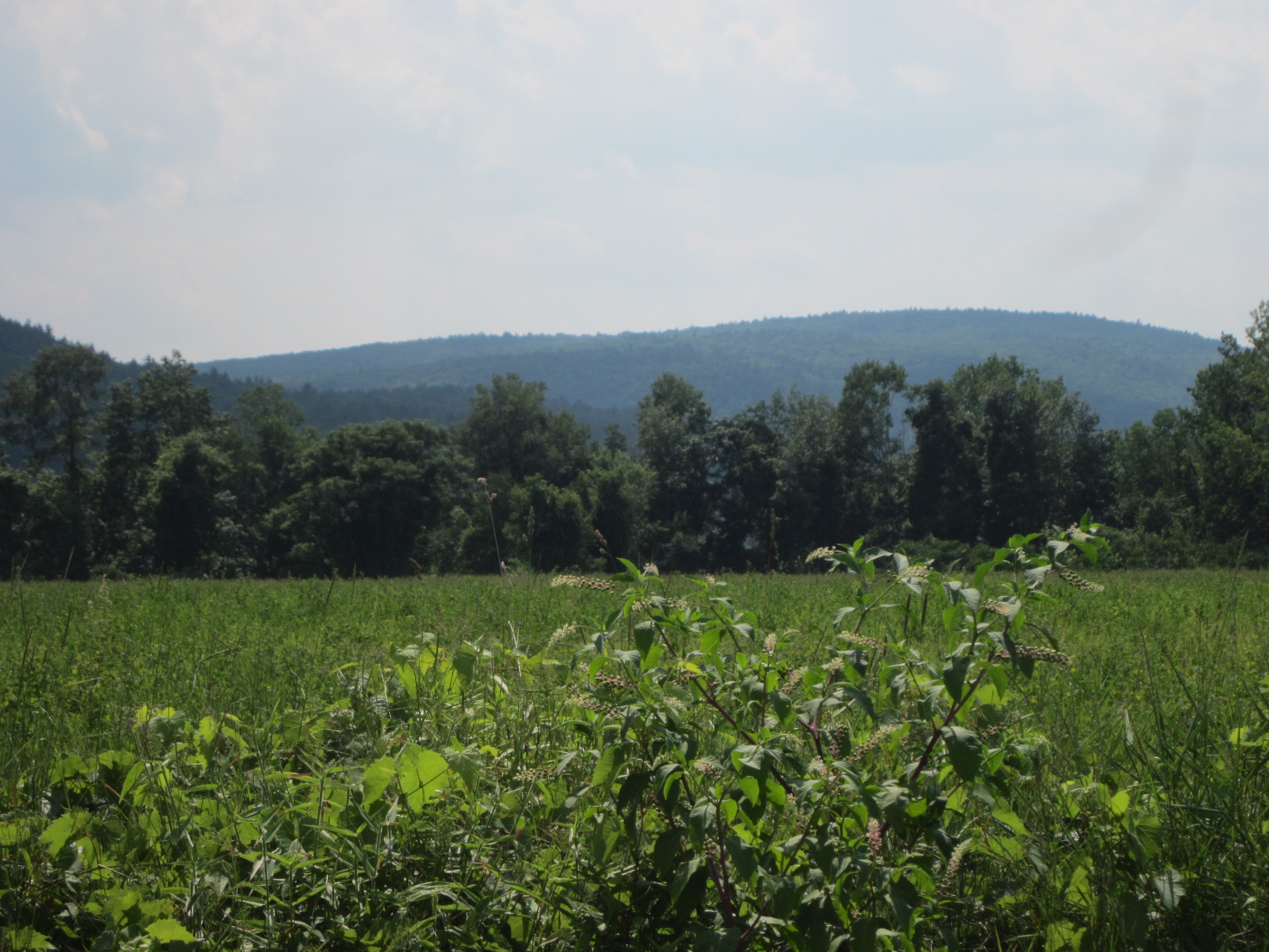 The Pioneer Valley