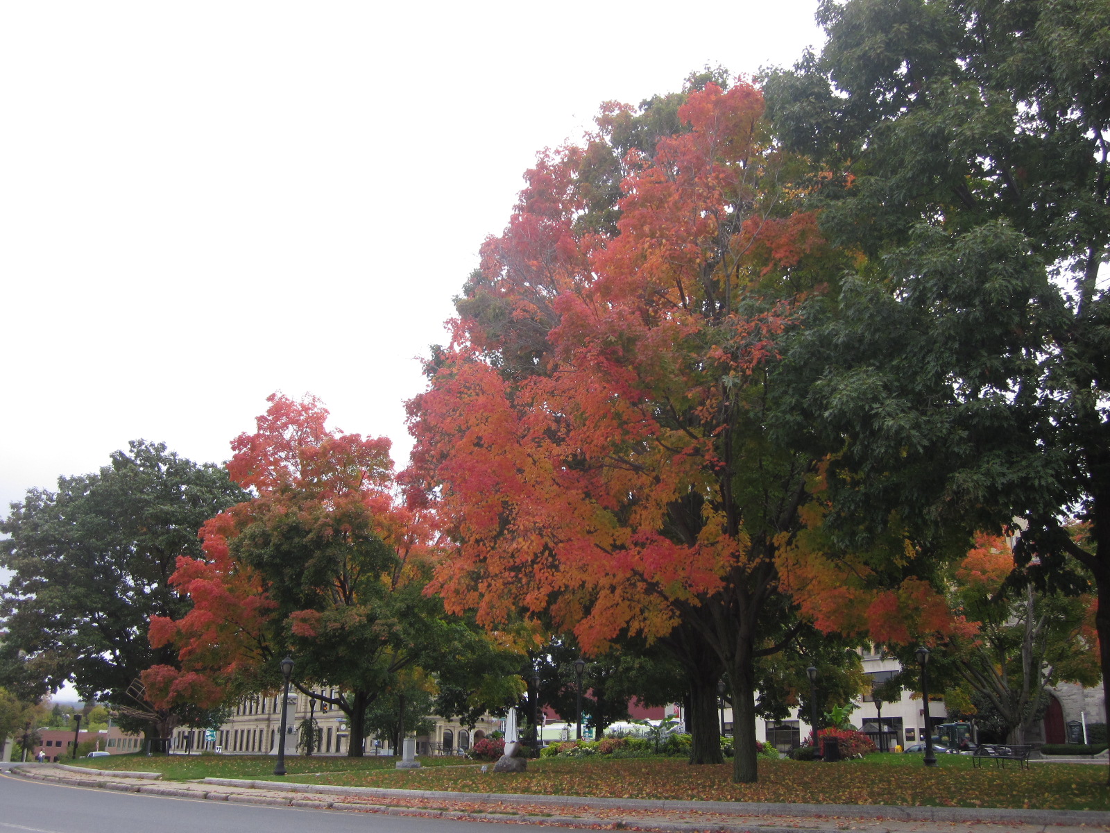 Pittsfield Common