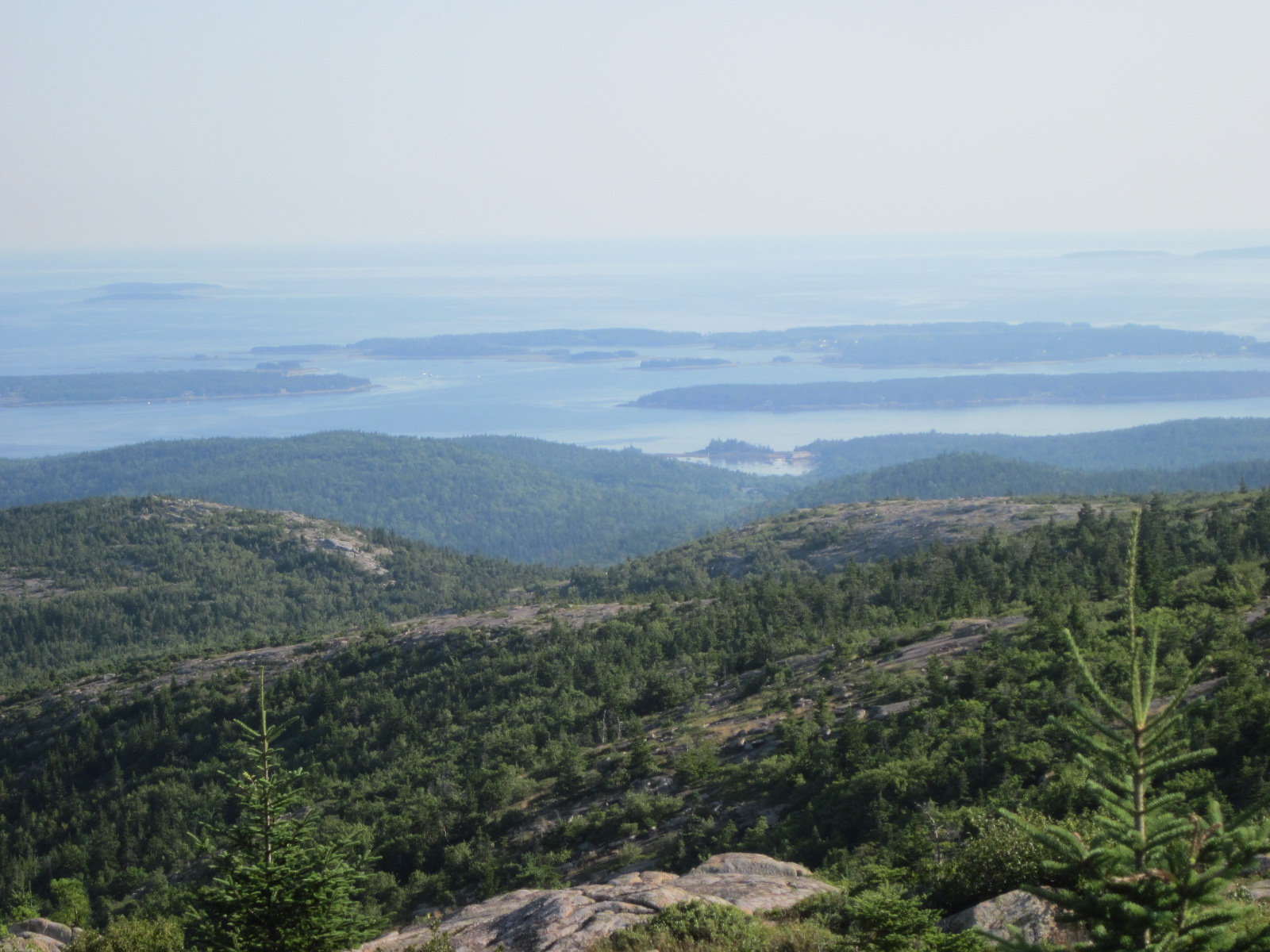 The view from Cadillac Mountain