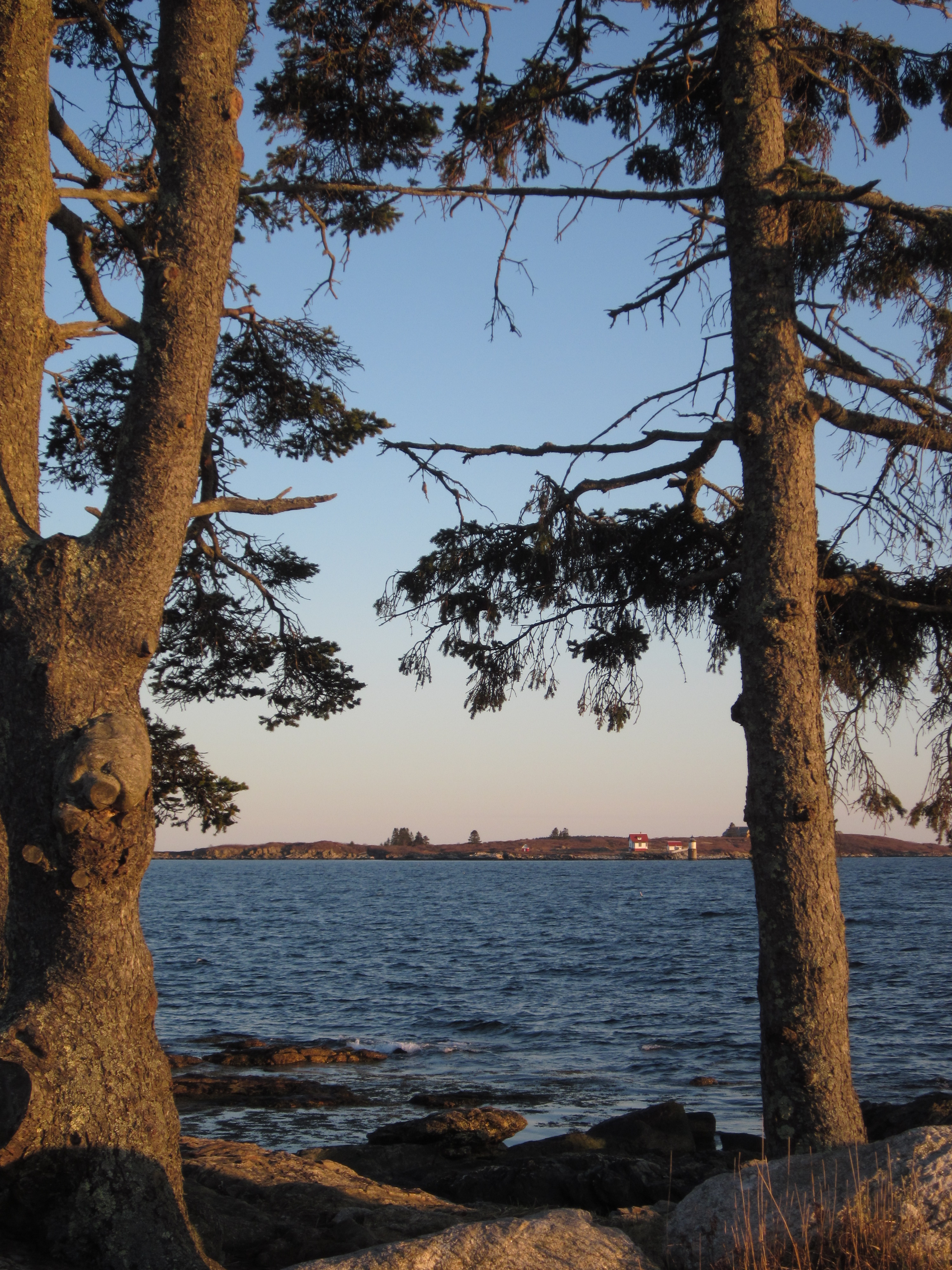 The view from Ocean Point