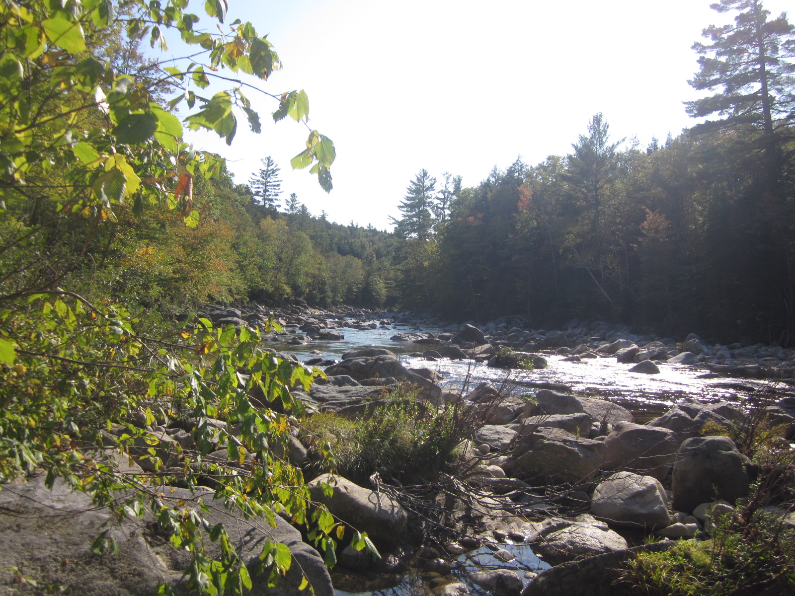 Through the eastern White Mountains on Rte 113
