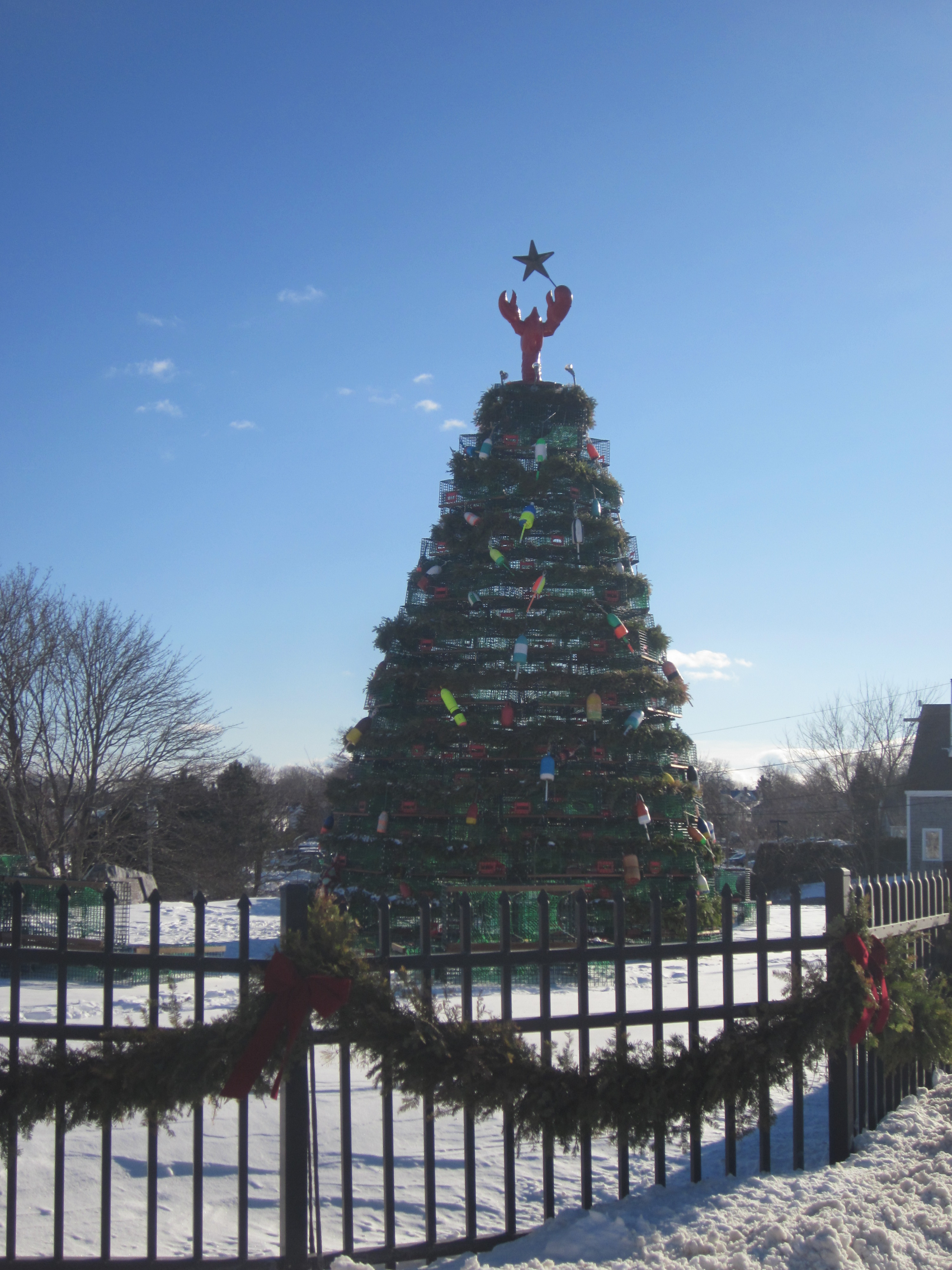 Lobstermen's Christmas Tree in Rockland