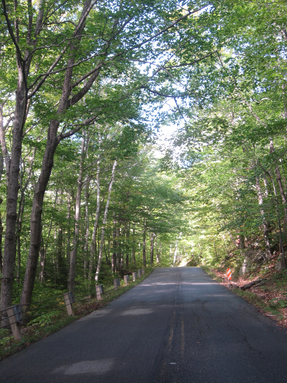 Route 113 approaching Evans Notch