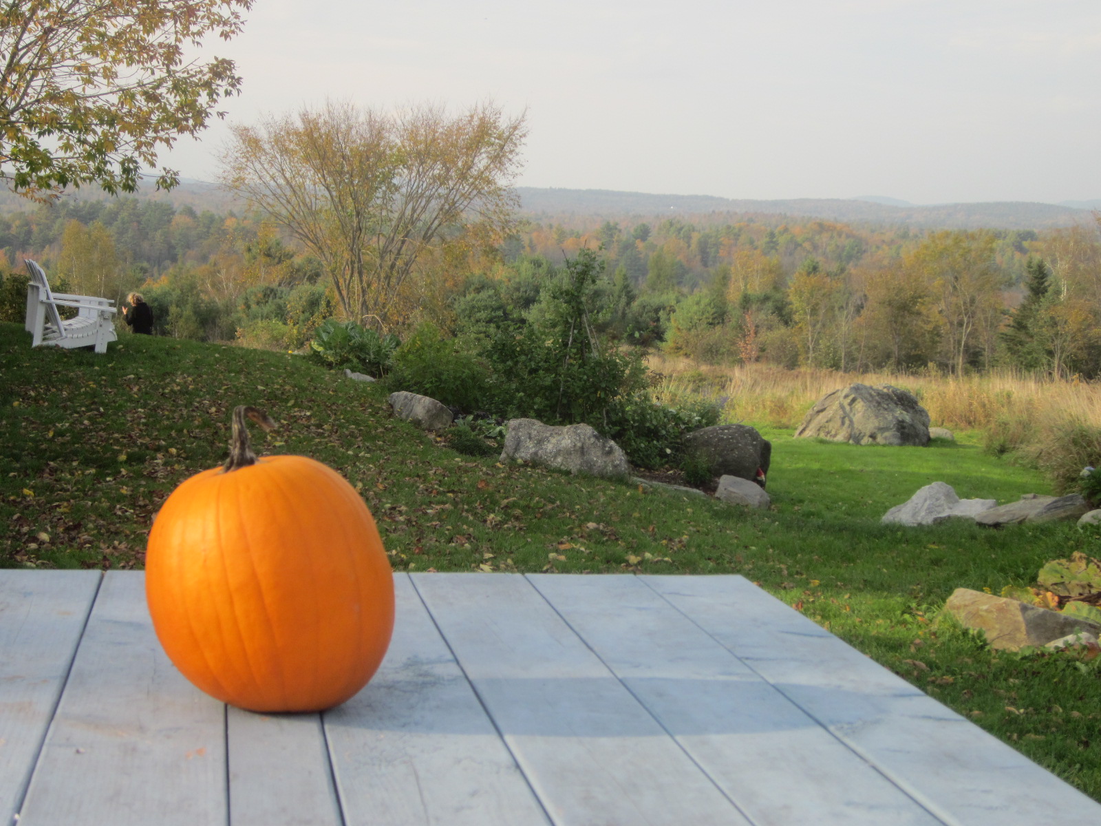 a gorgeous view from Union, Maine