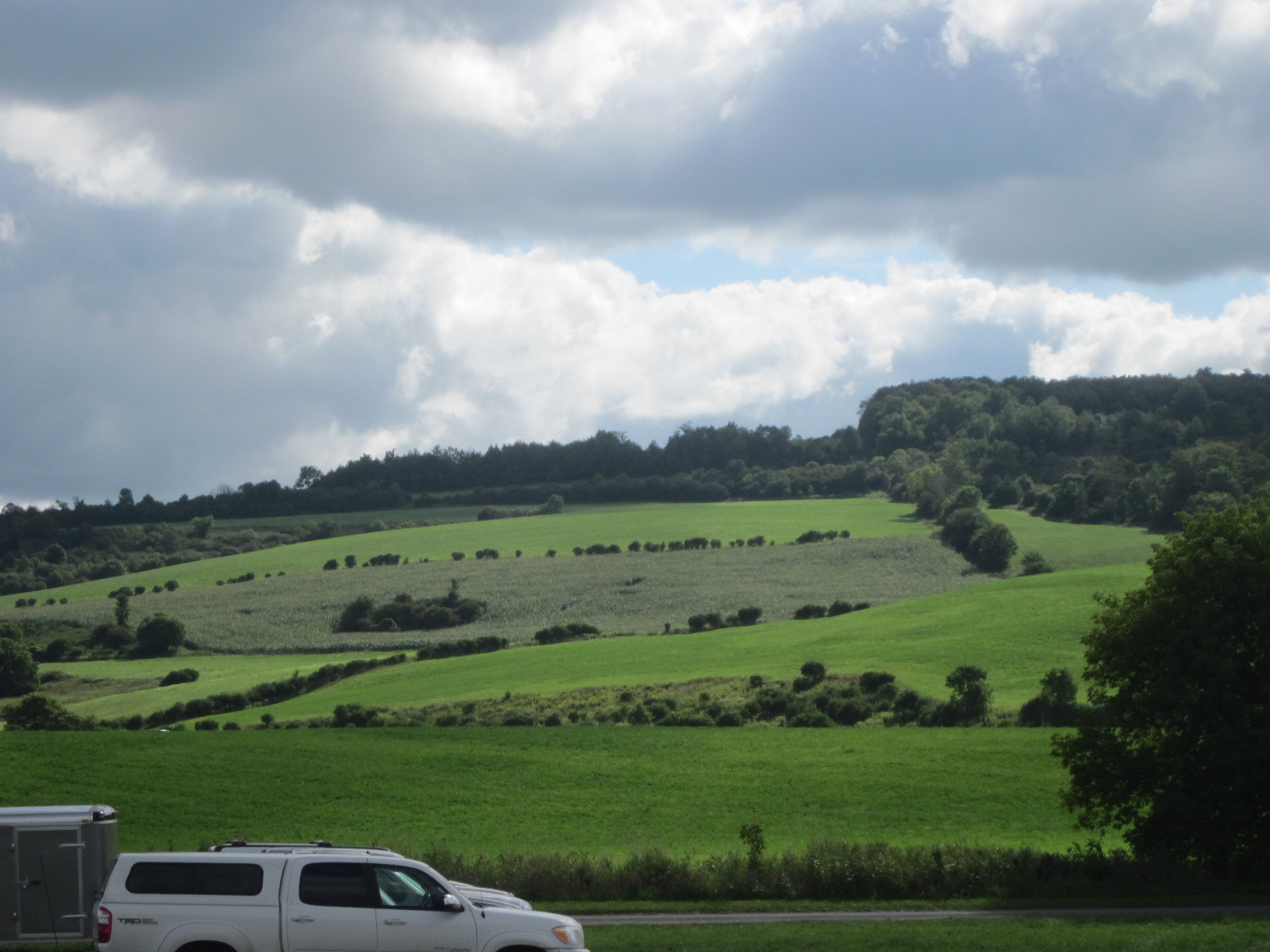 Rolling Hills outside of Oriskany Falls