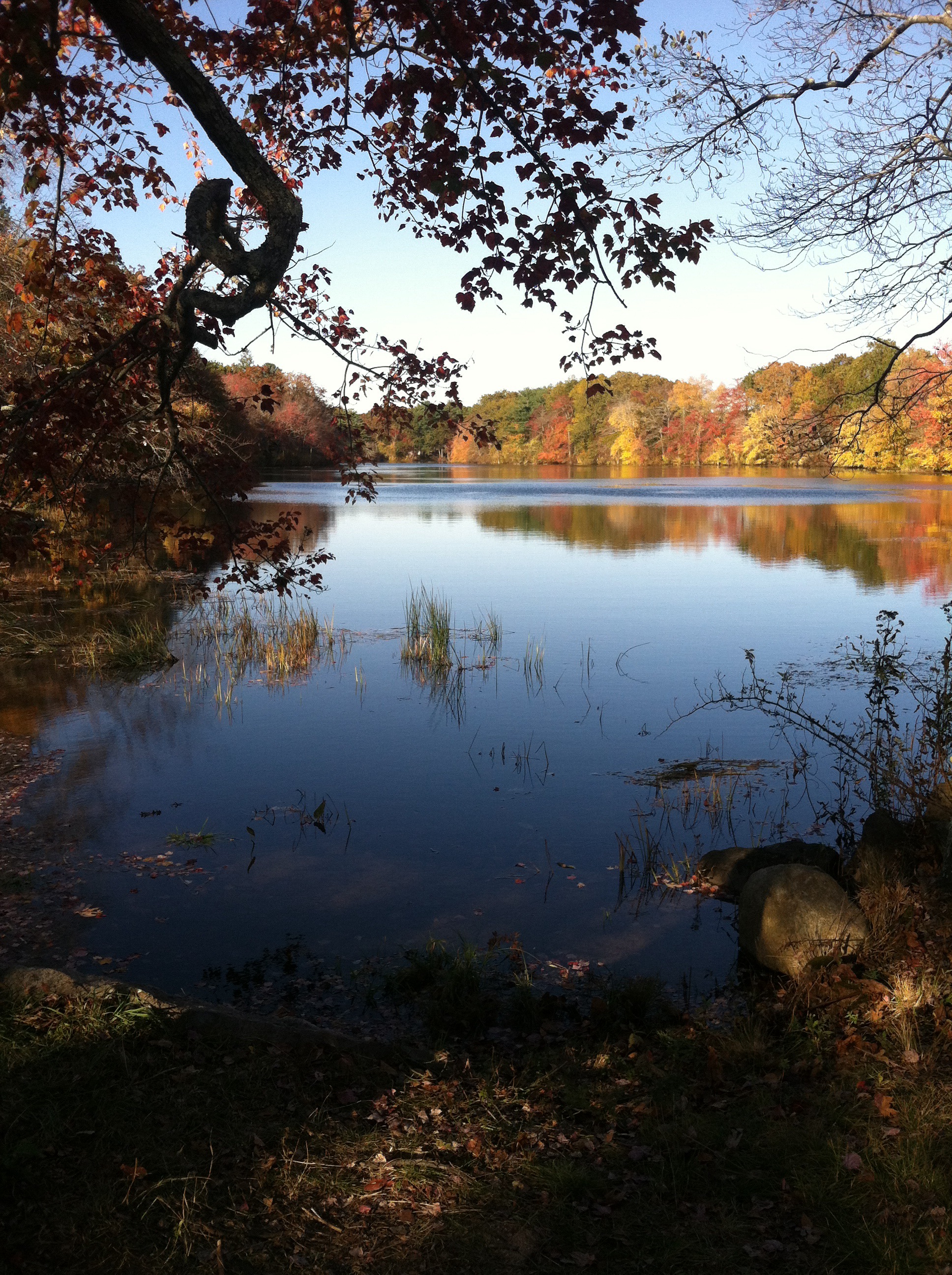The mill pond at Usquepaugh