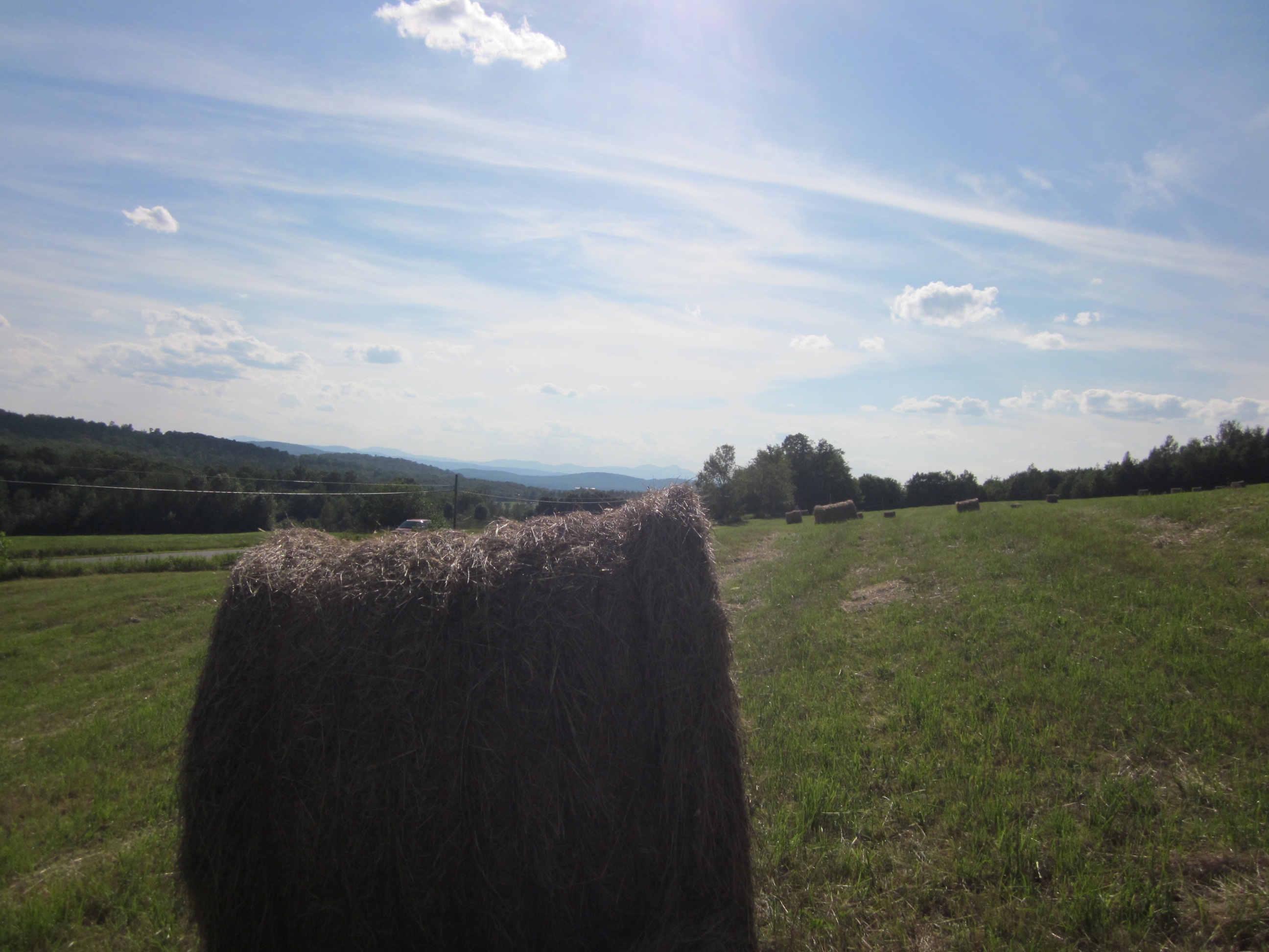 Northeast Kingdom farmland
