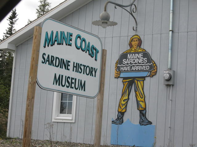 Downeast Sardines